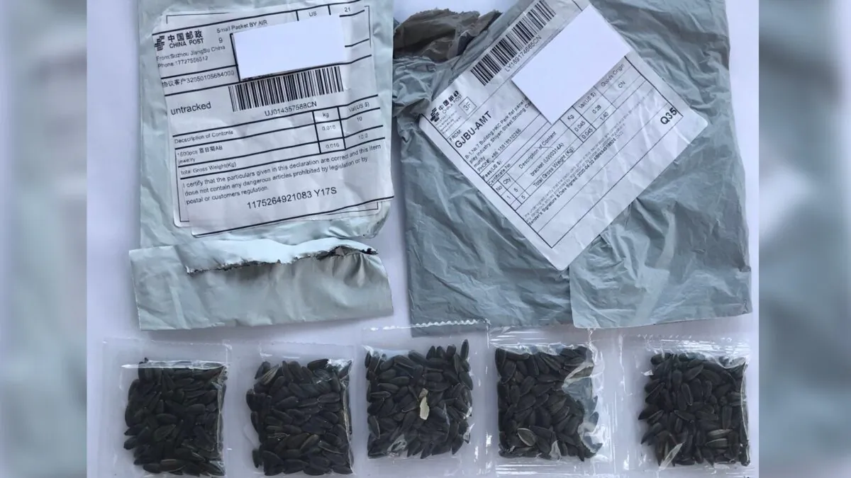 Two packages containing unknown seeds from China. (Kentucky Department of Agriculture)