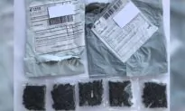 US Residents Receive Mysterious Seed Packages From China