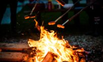 A Beginner’s Guide to Campfire Cooking