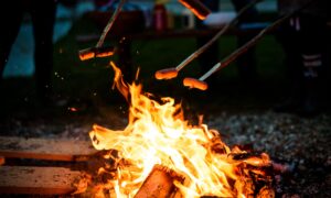 A Beginner's Guide to Campfire Cooking