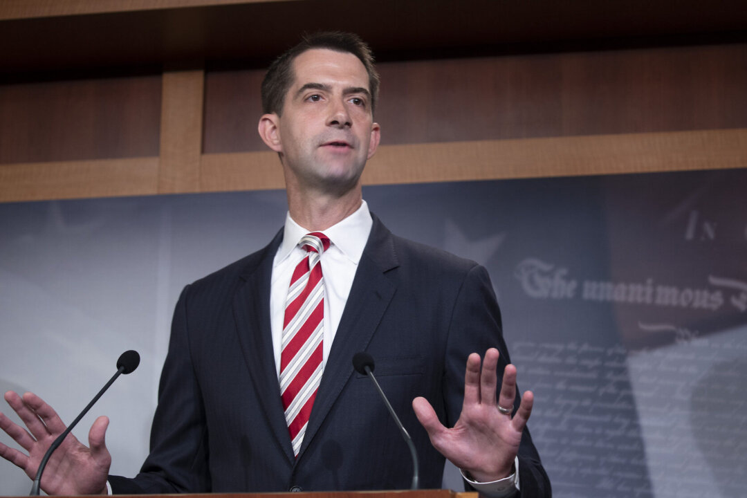 Tom Cotton: Senate Will Move Forward on Confirming Ginsburg Successor ‘Without Delay’