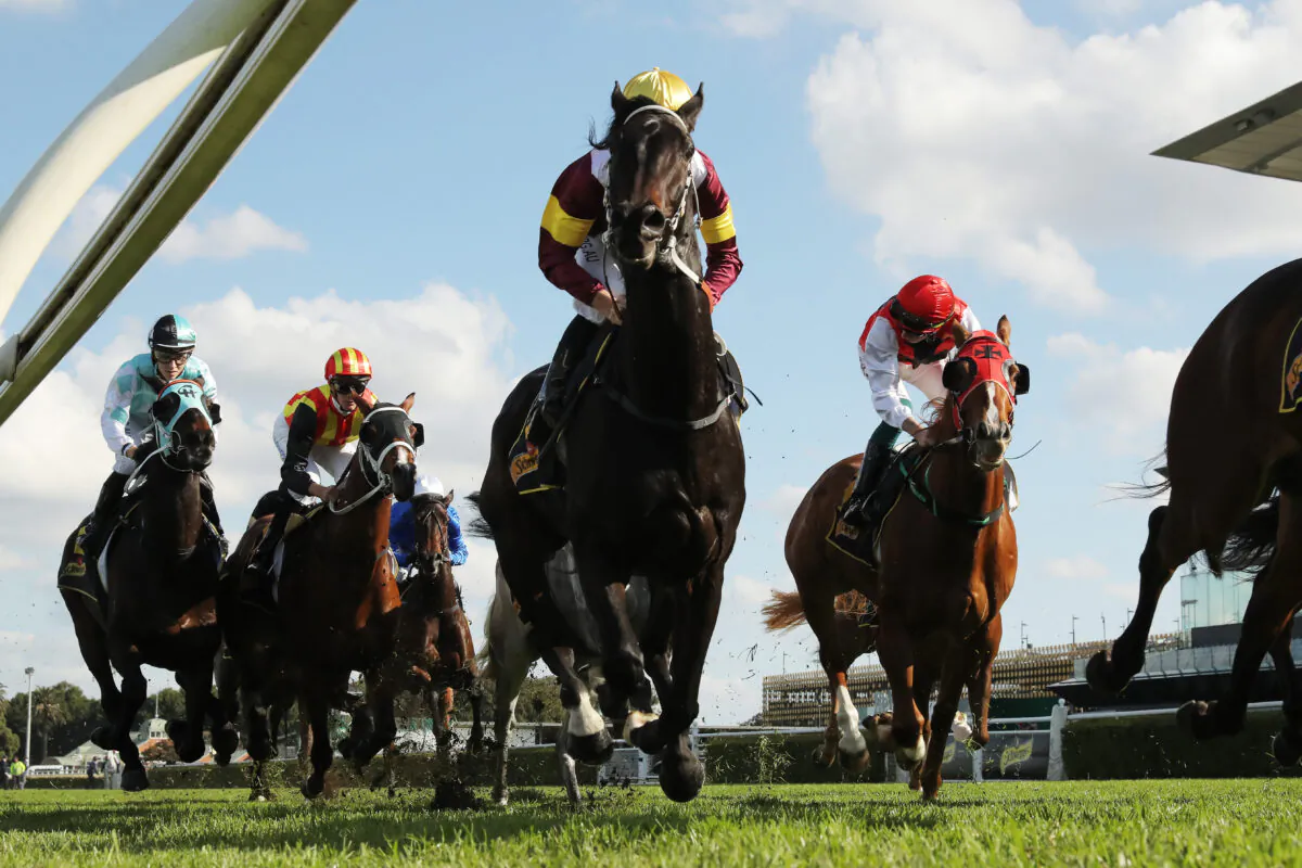Horses pass the post at Royal Randwick Racecourse in Sydney on June 6, 2020. (Matt King/Getty Images)