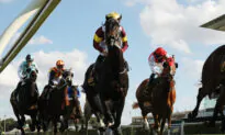 Australian Broadcasting Corporation Sued by Racing Supremo for Portraying Him Condoning Wholesale Horse Slaughter