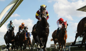 Australian Broadcasting Corporation Sued by Racing Supremo for Portraying Him Condoning Wholesale Horse Slaughter