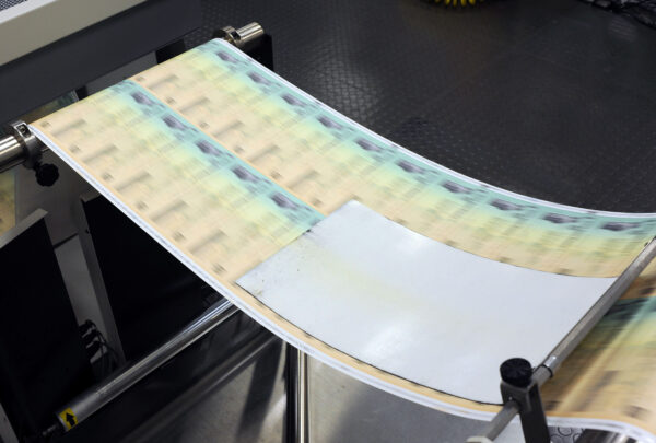 Blank U.S. Treasury checks are run through a printer