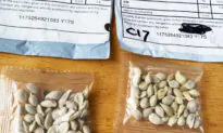 Mystery Seeds From China Find Their Way to Labrador