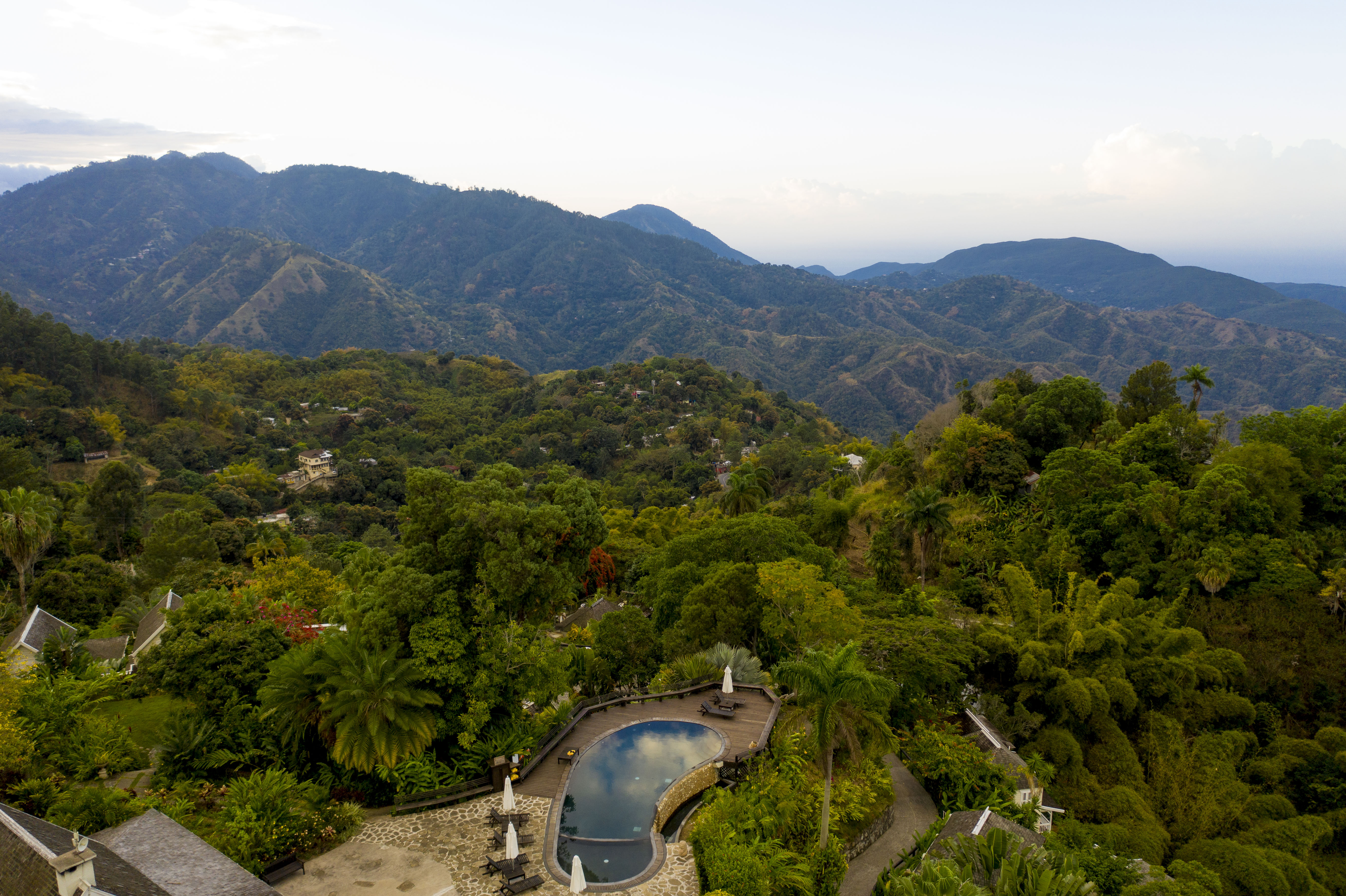 blue mountains jamaica