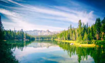 Best Summer Road Trips From Major US Cities