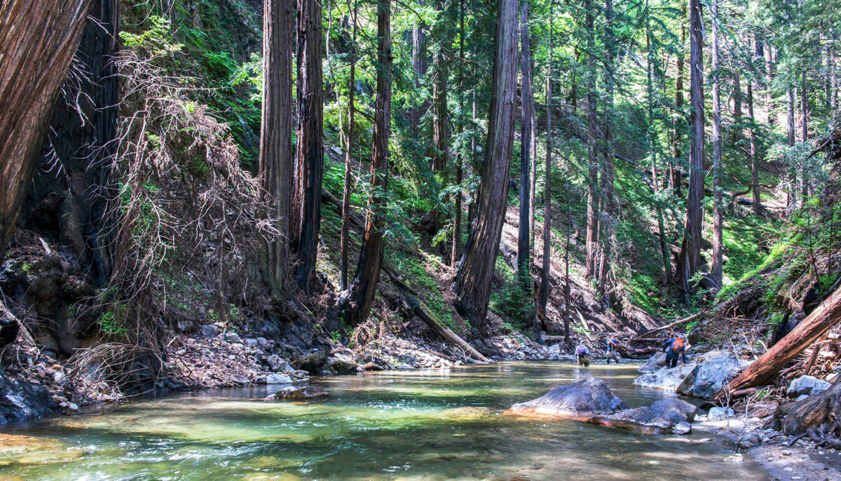 (Doug Steakley/Western Rivers Conservancy via AP)