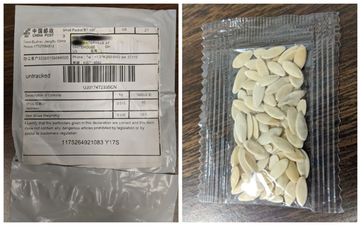 Packages with seeds that appear to be from China. (Whitehouse Police Department Ohio)