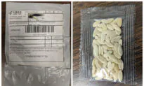 All 50 US States Warn About Unsolicited Seed Packages That Appear to Be From China