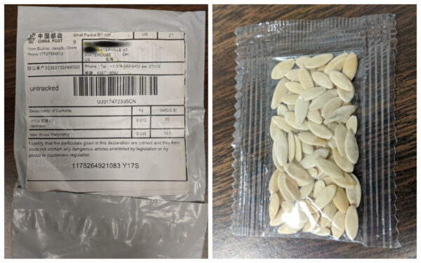 seeds from china