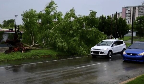 Epoch Times Photo