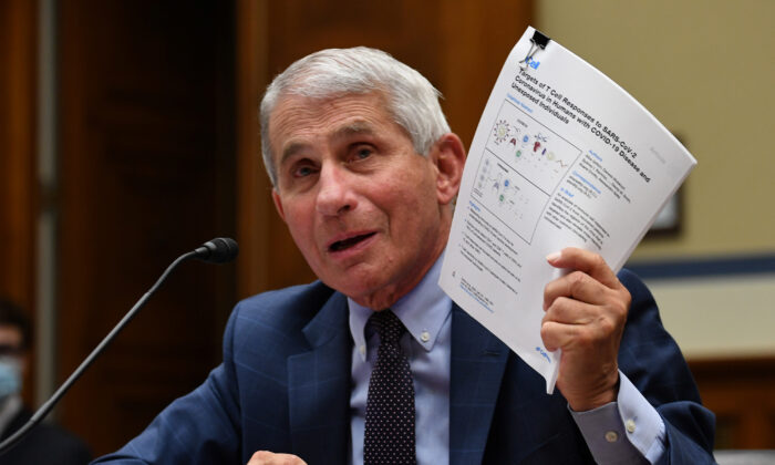 Dr. Anthony Fauci, director of the National Institute for Allergy and Infectious Diseases, testifies during the House Select Subcommittee on the Coronavirus Crisis hearing in Washington, on July 31, 2020. (Kevin Dietsch/Pool via Reuters)