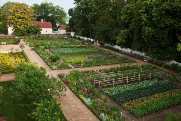 upper garden