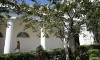 Your Guide to Melania Trump’s Rose Garden Renovations