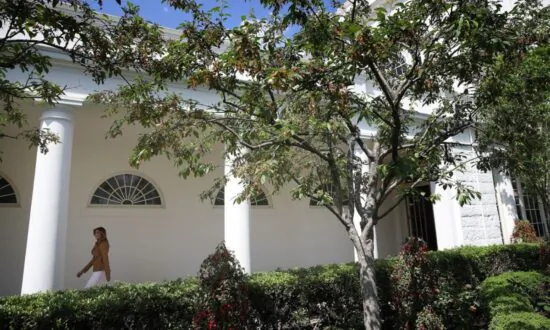 Your Guide to Melania Trump’s Rose Garden Renovations