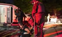 Portland Rioters, Including ‘Press,’ Assault Police Officers