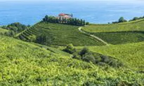 Txakoli: The Most Refreshing Spanish Wine You’ve Never Heard Of