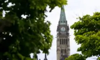 Eligibility Criteria Should Be Evaluated in Transitioning CERB to EI, Expert Says