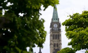 Eligibility Criteria Should Be Evaluated in Transitioning CERB to EI, Expert Says