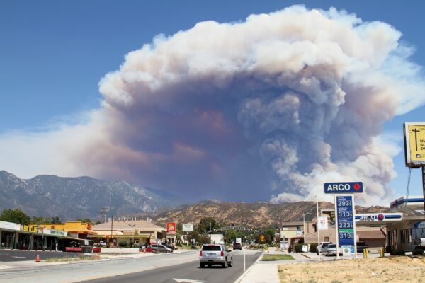 Epoch Times Photo