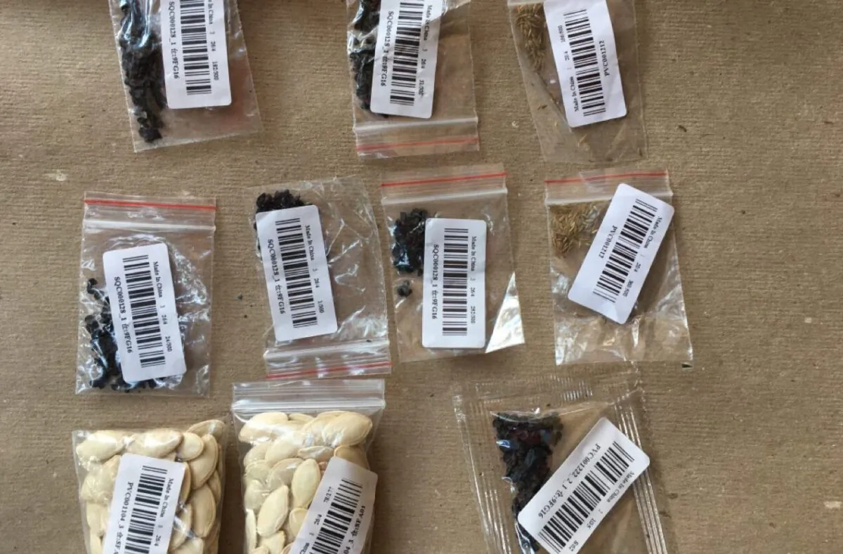 Seed packets that a New York City resident received in a mail package from China. (Provided to The Epoch Times)
