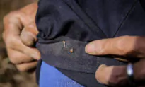 Tick-Borne Virus Kills 7, Infects Dozens in Eastern China