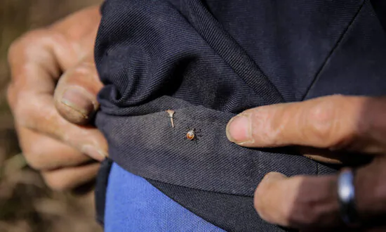Tick-Borne Virus Kills 7, Infects Dozens in Eastern China