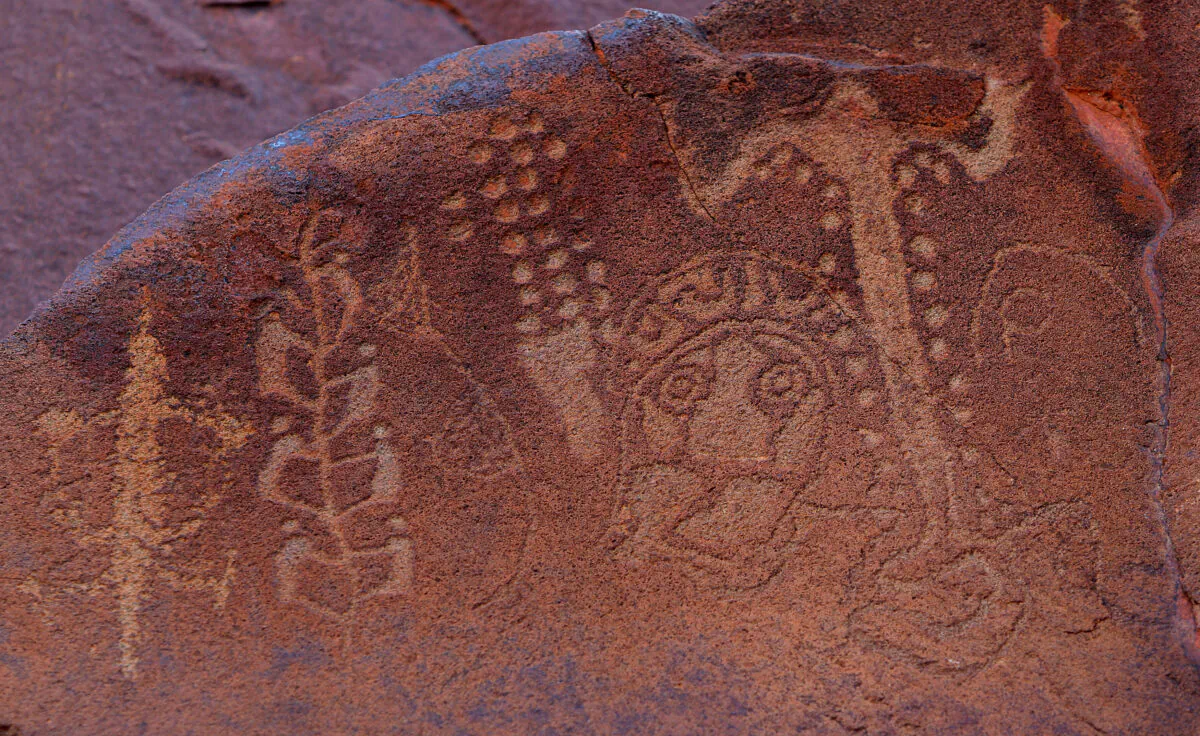 Ancient Aboriginal rock carvings (C) are shown in this photo taken on the Burrup Peninsula in the north of Western Australia on June 17, 2008. (Greg Wood/AFP via Getty Images)