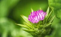 Using Nutrients, Nature, and Biochemistry to Treat OCD