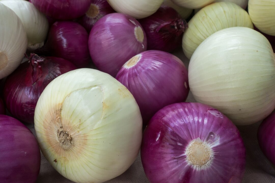 Fresh onions are seen for sale during a weekly street food fair outside the Department of Veterans Affairs in Washington on July 27, 2017. (Paul J. Richards/AFP via Getty Images)