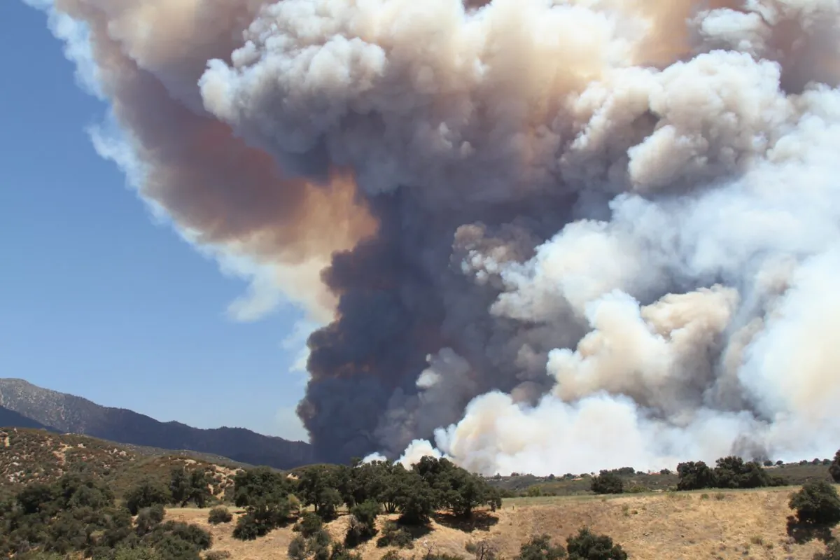 The Apple Fire blazes in Southern California, seen on Aug. 1, 2020. (Brad Jones/The Epoch Times)