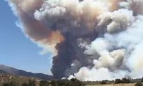 Arson Speculation About Apple Fire Spreads Like Wildfire