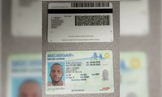 81,000 Illegal Immigrants Will Soon Be Eligible Under Minnesota’s ‘Driver’s License for All’ Program