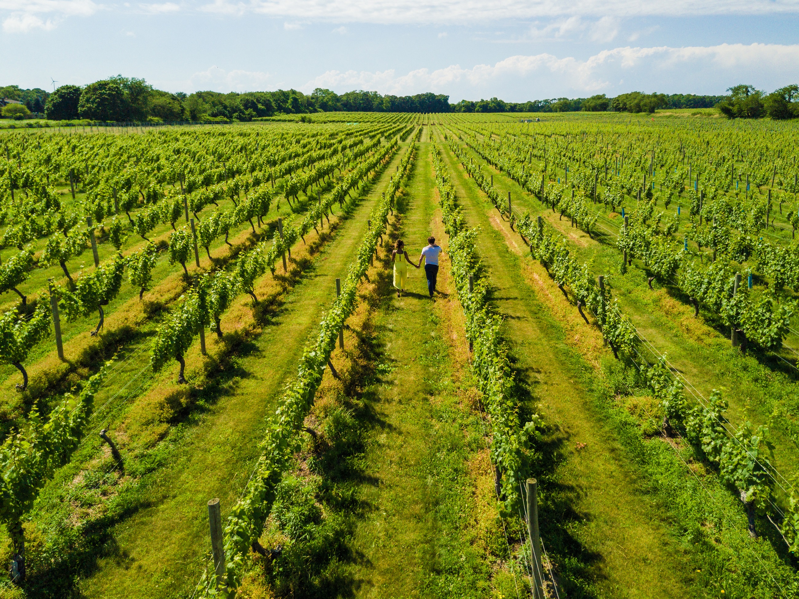 Bedell Cellars