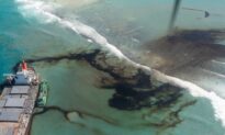 Sea Life Around Mauritius Dying as Japanese Ship Oil Spill Spreads