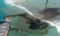 Sea Life Around Mauritius Dying as Japanese Ship Oil Spill Spreads