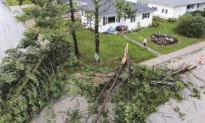 Powerful Derecho Leaves Path of Devastation Across Midwest