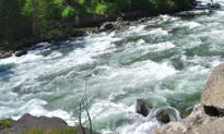 Off-Duty Officers on Vacation Rescue 5-Year-Old Boy From Nearly Drowning in Washington River