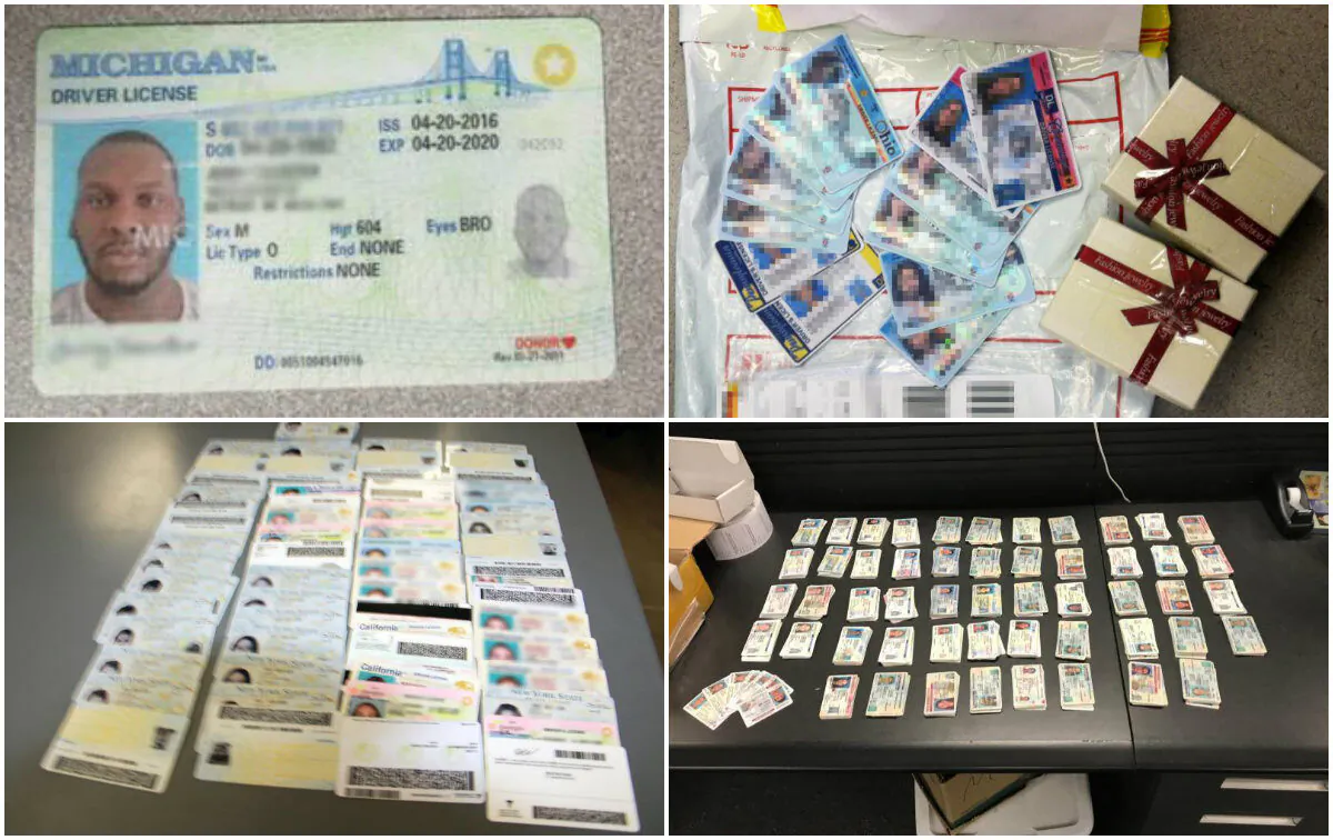 Fake IDs seized by U.S. Customs and Border Protection. (CBP)