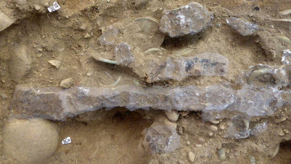 Bronze Age Hoard