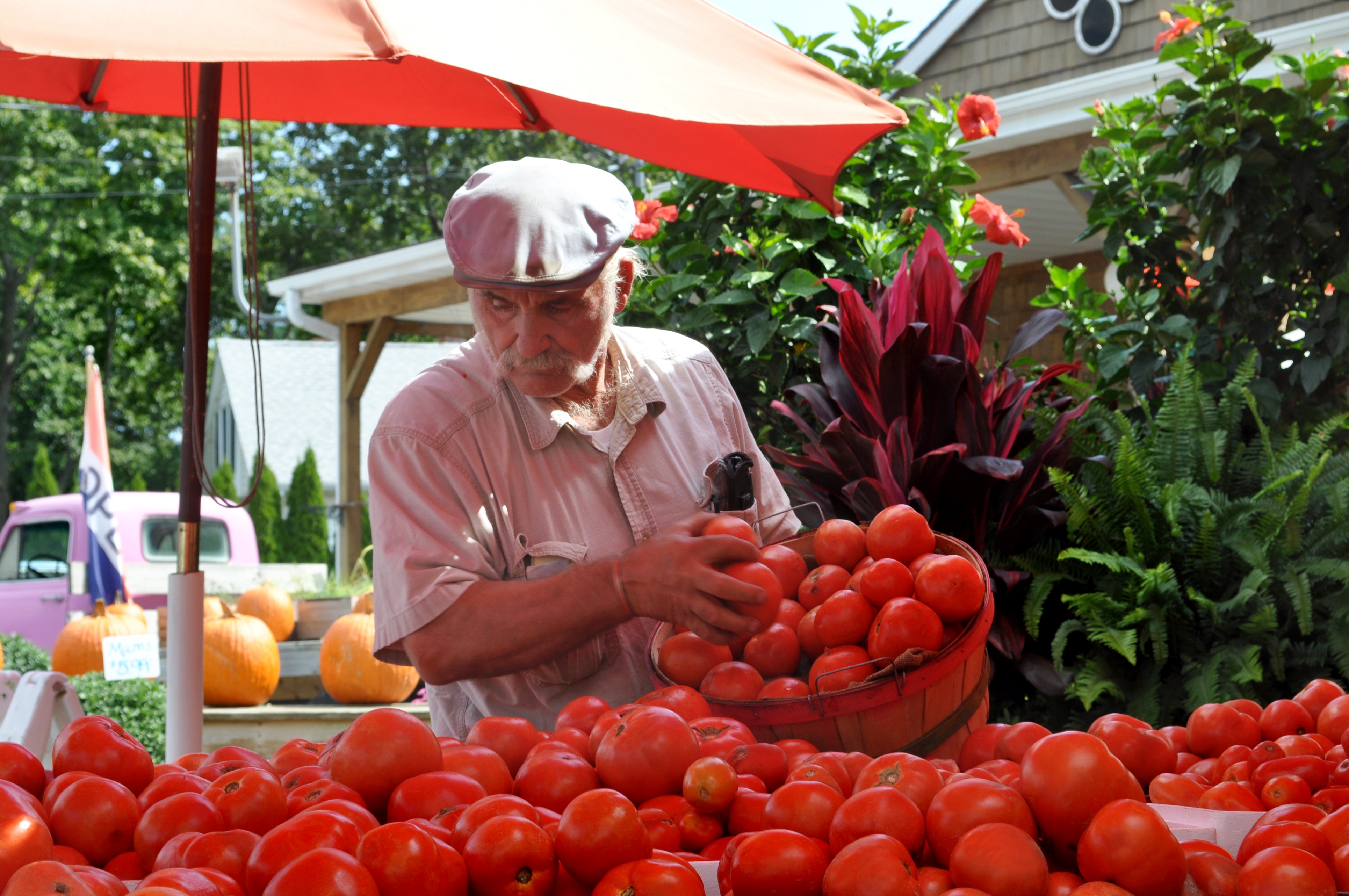 Farm Stand Long Island