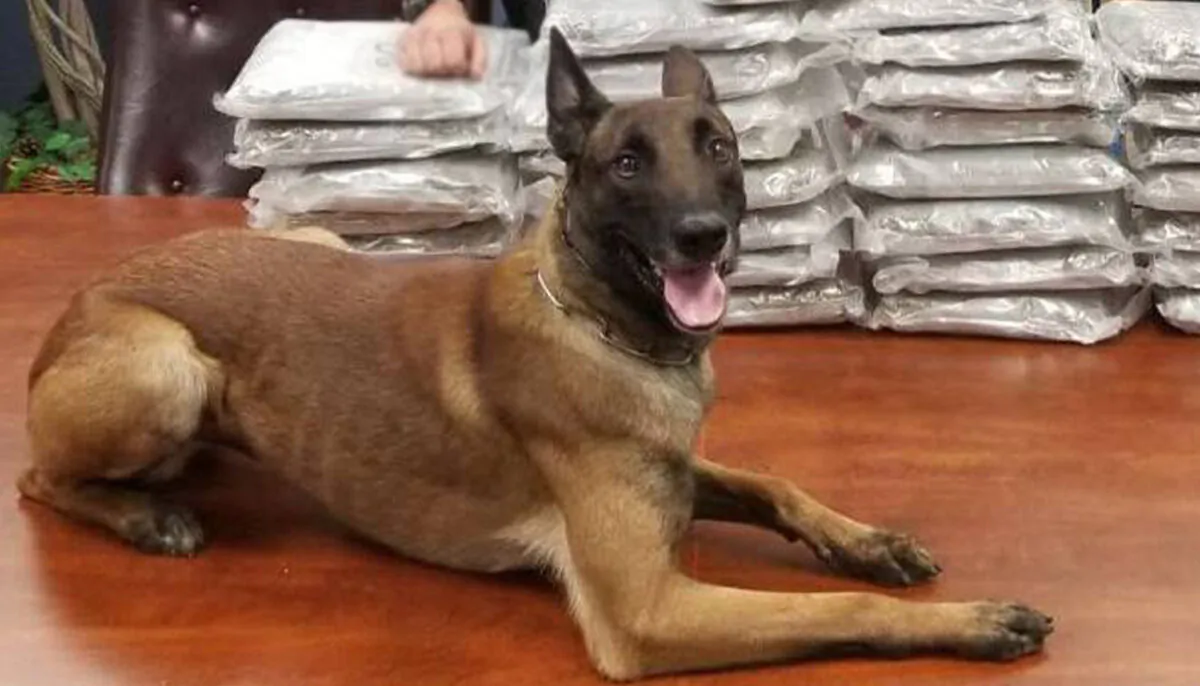 (Courtesy of Marietta, Georgia Police Department)