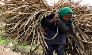 China in Focus (Aug. 14): 5,700 Farmers’ Homes Involved in Forced Demolition