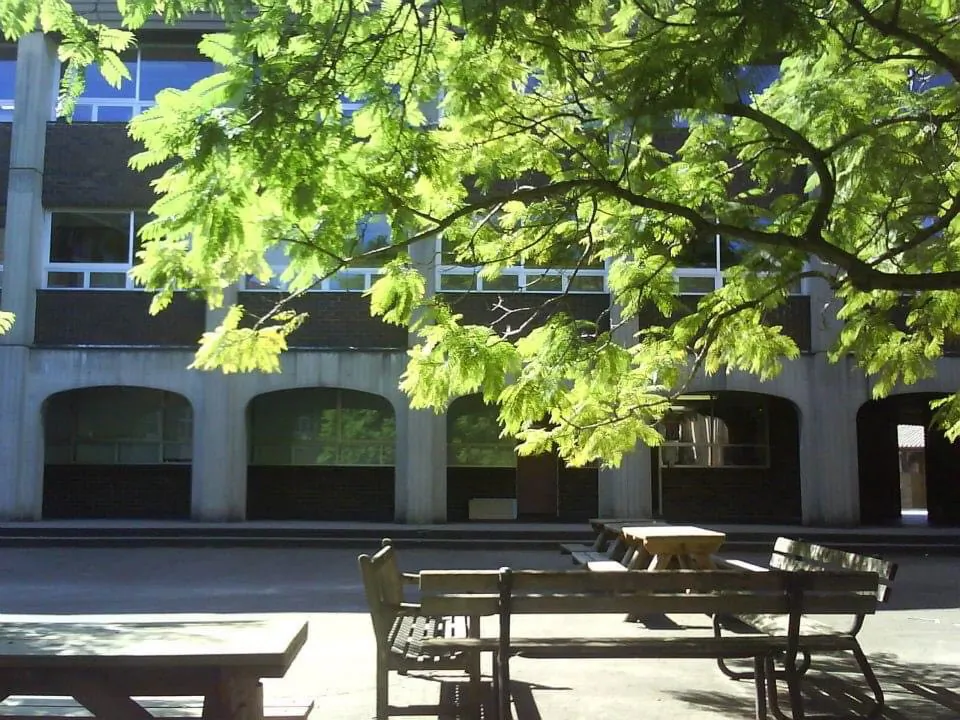 A view from inside Sydney Girls High School. (Mimi Nguyen Ly/The Epoch Times)