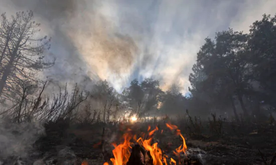 Neighbors Help Each Other Amid Apple Fire Destruction