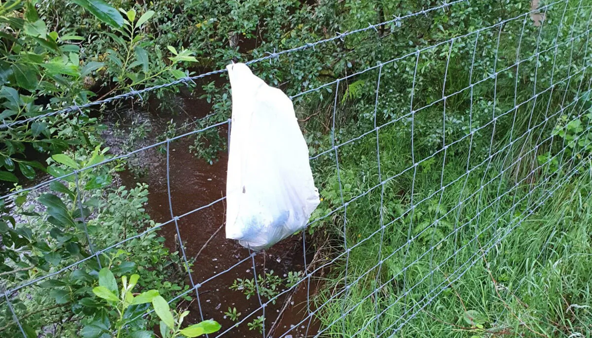 Courtesy of the Irish Society for the Prevention of Cruelty to Animals (ISPCA)