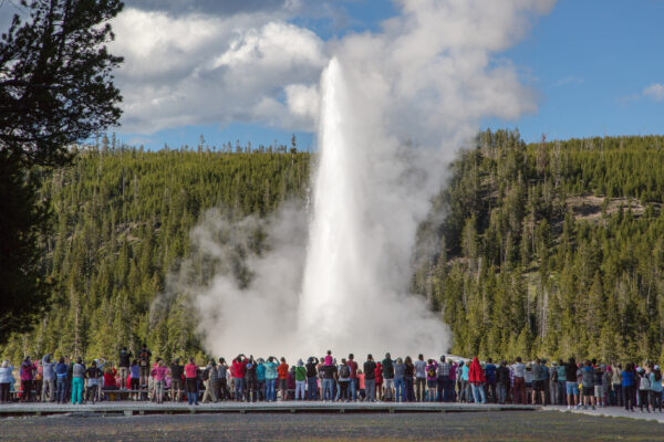old faithful
