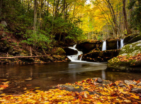 great smoky mountains